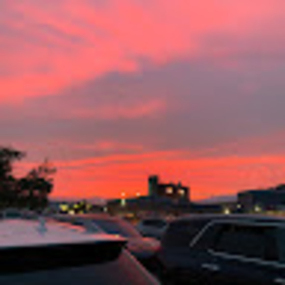 Meet your Posher, Alyssa - Picture 1 of 1